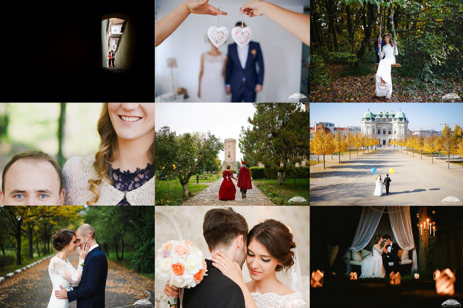 2015 in review