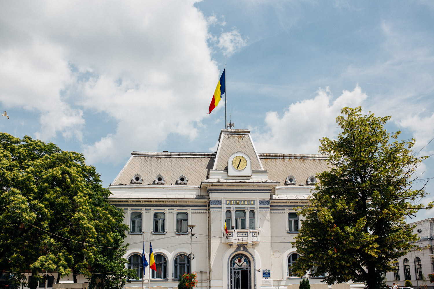 Fotograf cununie civila Primaria Pitesti Bogdan & Luiza civil wedding Pitesti-1019