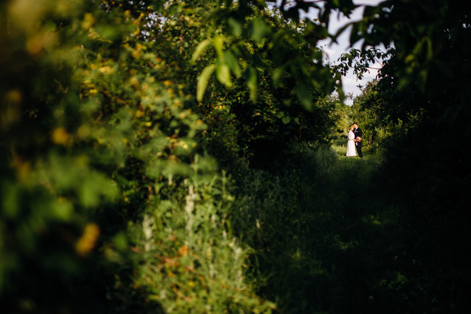 Sedinta foto nunta Bogdan & Luiza civil wedding Pitesti-1076