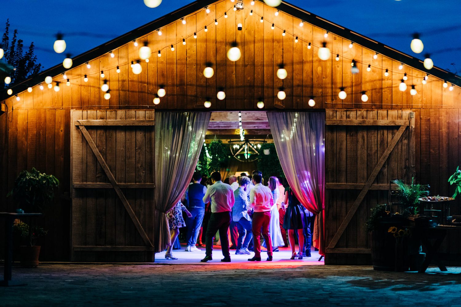Mihai & Alexandra nunta la The Green Spot Wedding Barn