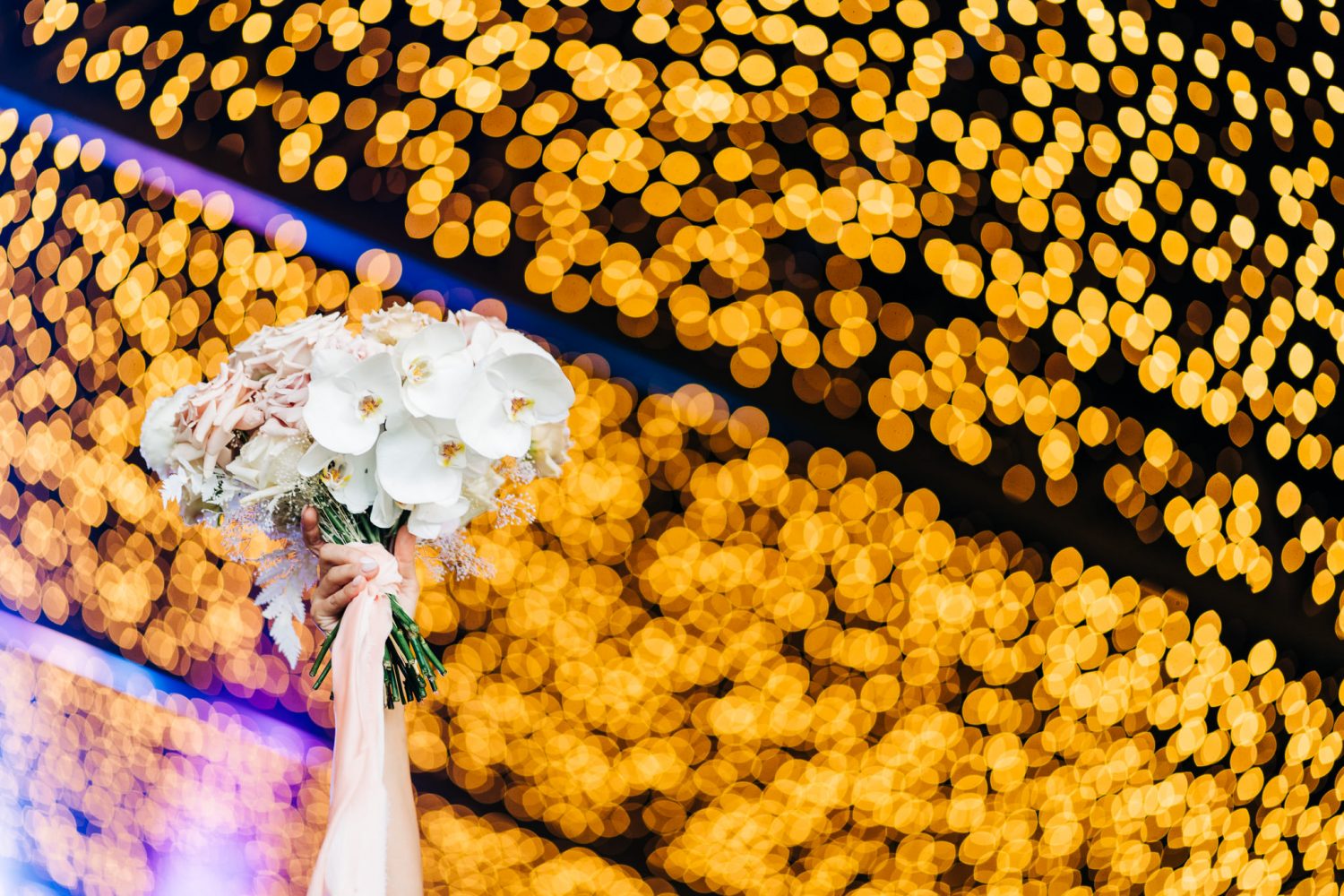 Adrian & Roxana wedding